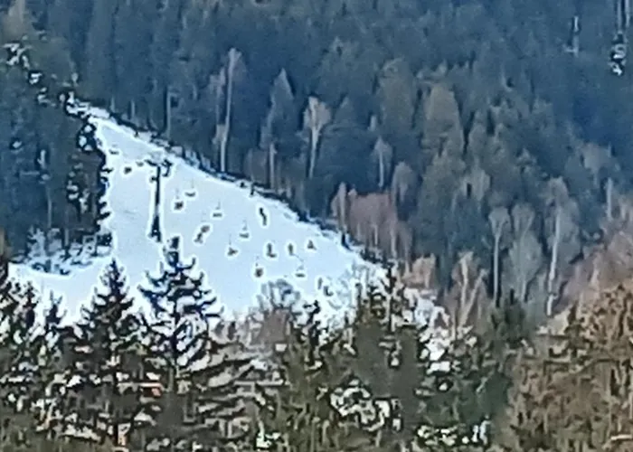 Veghouse - U Pláže 3*